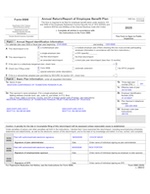 Form_5500_2025_sm